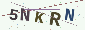 Güvenlik kodu