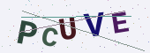 Güvenlik kodu