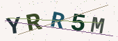 رمز التحقق