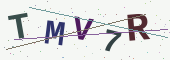 보안 코드