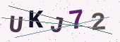 رمز التحقق