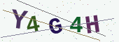 Güvenlik kodu