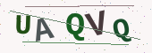 Güvenlik kodu