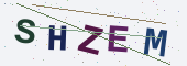 Güvenlik kodu