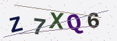 Güvenlik kodu