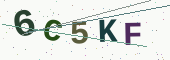 Säkerhetskod