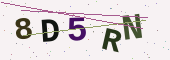 رمز التحقق