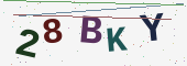 Güvenlik kodu