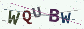 رمز التحقق