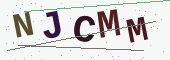 보안 코드
