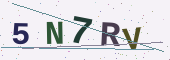 Güvenlik kodu