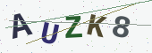 Güvenlik kodu