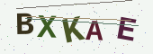 Güvenlik kodu