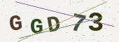 Güvenlik kodu