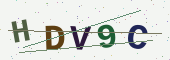 Güvenlik kodu