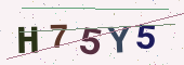 رمز التحقق