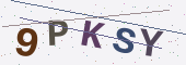 Güvenlik kodu