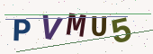 Güvenlik kodu
