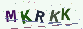 Säkerhetskod