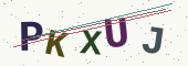 Güvenlik kodu