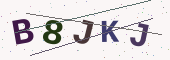 보안 코드