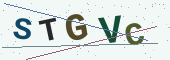 Güvenlik kodu