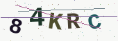 Güvenlik kodu