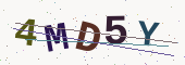رمز التحقق