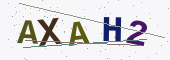 Güvenlik kodu