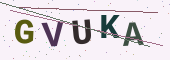 安全验证码