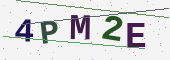 Güvenlik kodu