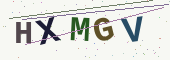 Güvenlik kodu