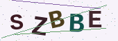 Bezpečnostní kód