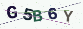 Güvenlik kodu