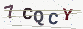 安全验证码