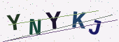 Güvenlik kodu
