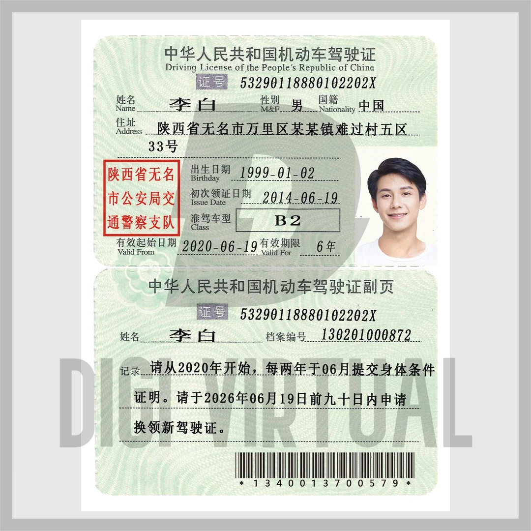 China Driving Licence (DNI) — Layered PSD Template with Two Versions