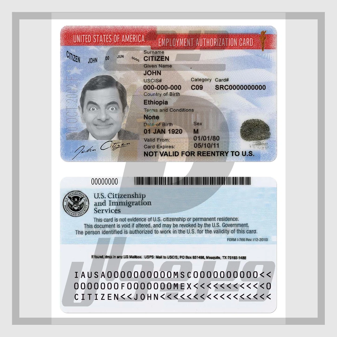 قالب PSD کارت مجوز کار آمریکا (Employment Authorization Card) — نسخه V2 کاملاً قابل ویرایش