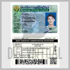 Plantilla de licencia de conducir de Myanmar PSD V2 — archivo de Photoshop totalmente editable