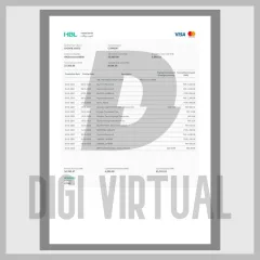 Pakistański wyciąg bankowy HBL plik — edytowalne Word i PDF