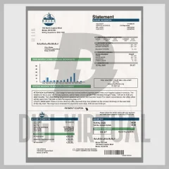 USA Idaho Boise water bill PSD template — City of Boise water statement fully editable