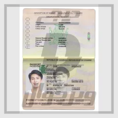 قالب پاسپورت زامبیا — لایه باز (PSD) کاملاً قابل ویرایش