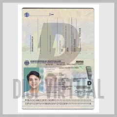 德国护照 PSD 捆绑包 (2 版本: 新 + 旧 V1) — 可编辑 Photoshop 模板