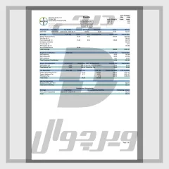 فیش حقوقی Bayer Monsanto Caribe — قالب PDF قابل ویرایش