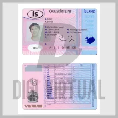Template PSD della patente di guida islandese — fronte e retro