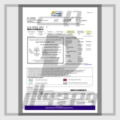 قالب فاکتور موبایل تاتا ایندیکوم PDF — کاملاً قابل ویرایش