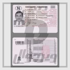 قالب گواهینامه رانندگی نروژ (نسخه ۱) — فایل لایه باز PSD قابل ویرایش