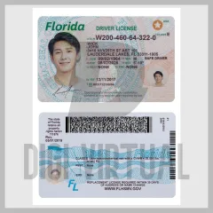 Permis de conduire de Floride (USA)