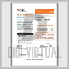 Шаблон рахунку за електроенергію та газ PSE&G, Нью-Джерсі, США (PDF на 4 сторінки, повністю редагований)
