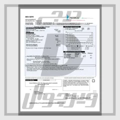 فایل لایه باز قبض گاز Peoples پنسیلوانیا آمریکا (PDF و Word کاملاً قابل ویرایش)